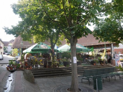 Foto: Zur Rose
